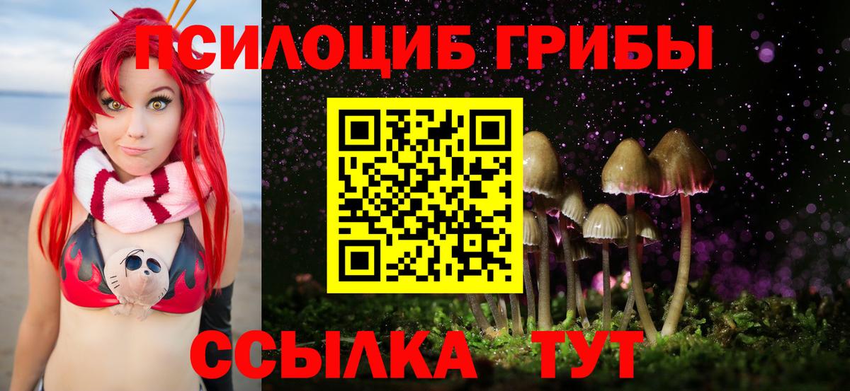 Псилоцибиновые грибы Cubensis  Вход с VPN  Кизилюрт 
