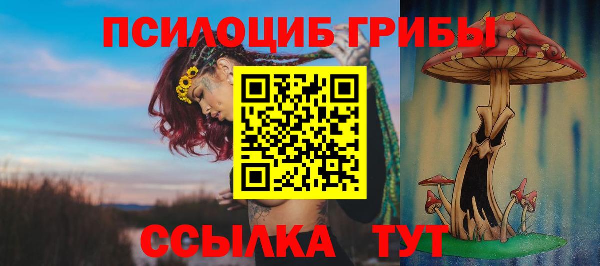 Галлюциногенные грибы Psilocybine cubensis Кизилюрт